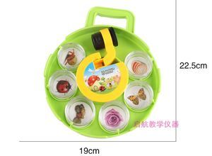 昆虫植物观察器 幼儿园科学实验的完美搭档